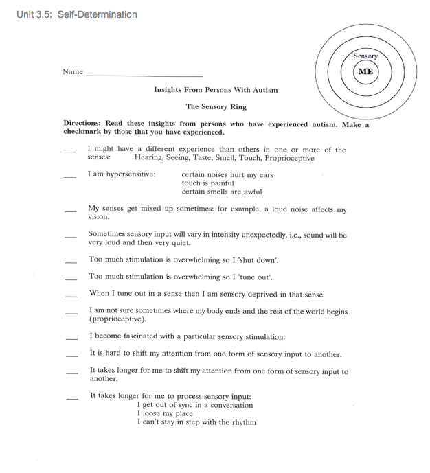 sensory insights 